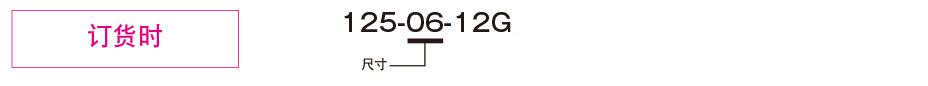 125-□-12G